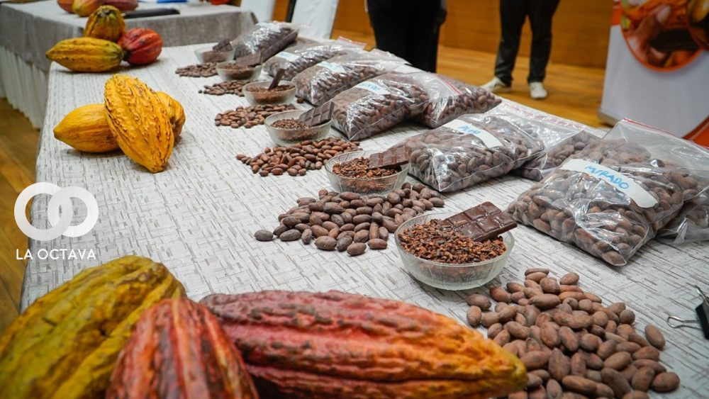 Premiación a las mejores muestras de cacao