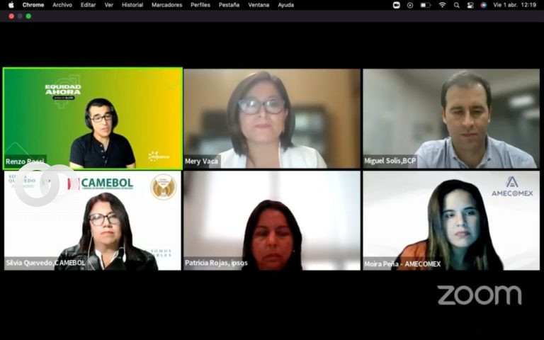 Cámara de Mujeres Empresarias de Bolivia (CAMEBOL) y la Asociación de Mujeres Especialistas en Comercio Exterior (AMECOMEX).