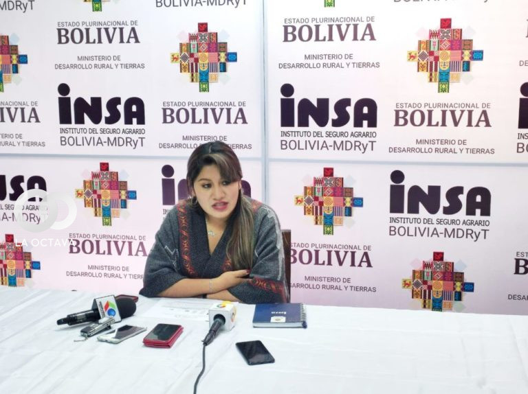 Diana Rocío Rosales Mamani, Directora General Ejecutiva del INSA