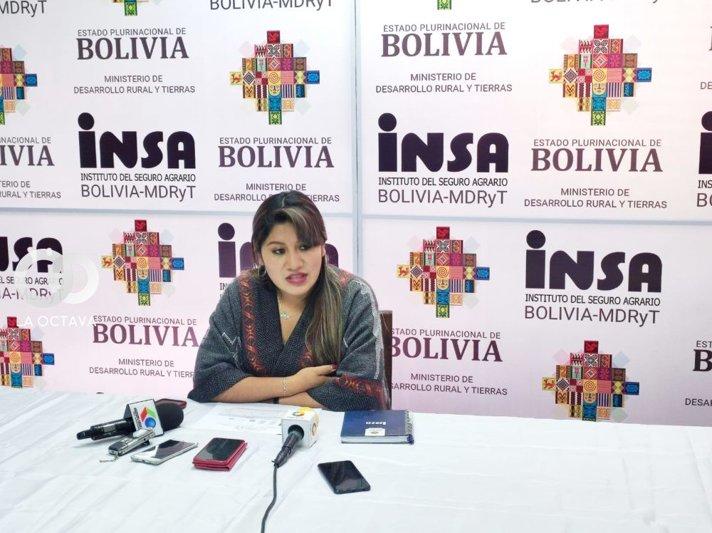 Diana Rocío Rosales Mamani, Directora General Ejecutiva del INSA