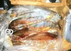 Comiso de pescado por la Aduana Nacional
