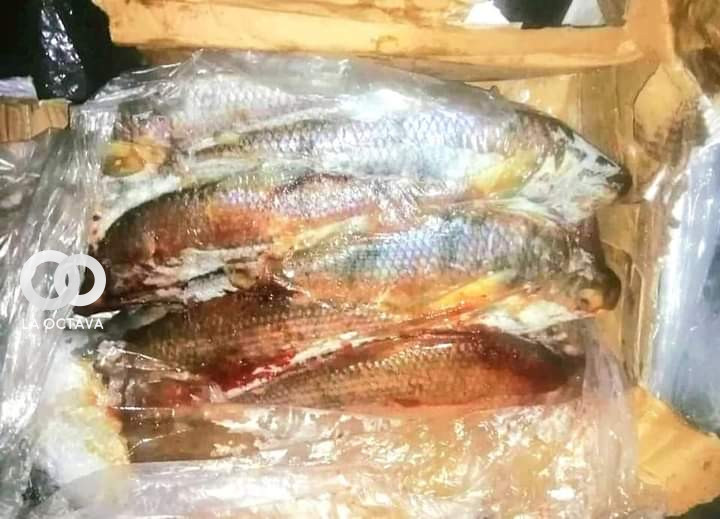 Comiso de pescado por la Aduana Nacional