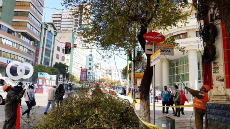 Obreros Municipales realiza poda de ramas de los árboles en el paseo de El Prado.
