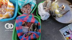 Pescados decomisados y que iban a ser comercializados en la feria de Los Andes, en El Alto.