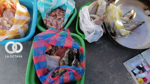 Pescados decomisados y que iban a ser comercializados en la feria de Los Andes, en El Alto. 