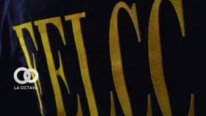 Fuerza Especial de Lucha Contra el Crimen (FELCC)