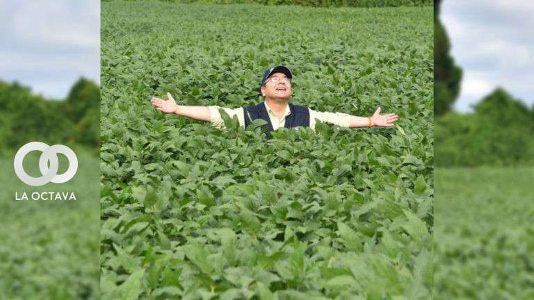 Gary Rodríguez en campo de soya