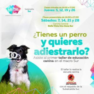 Afiche de promoción de la actividad