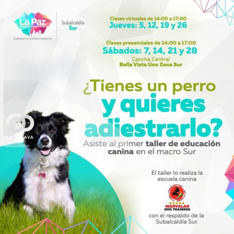 Afiche de promoción de la actividad