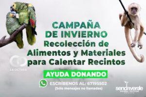 Campaña de invierno de Senda Verde