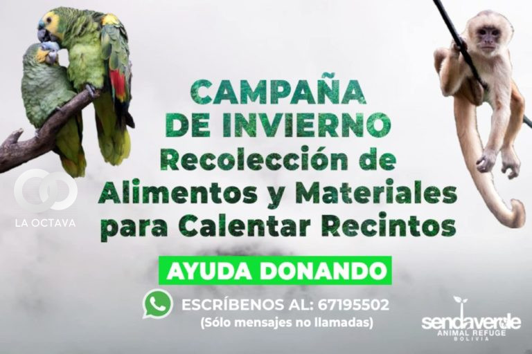 Campaña de invierno de Senda Verde
