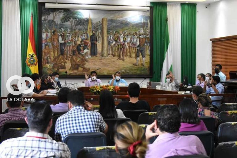 Tribunal Constitucional Plurinacional (TCP)