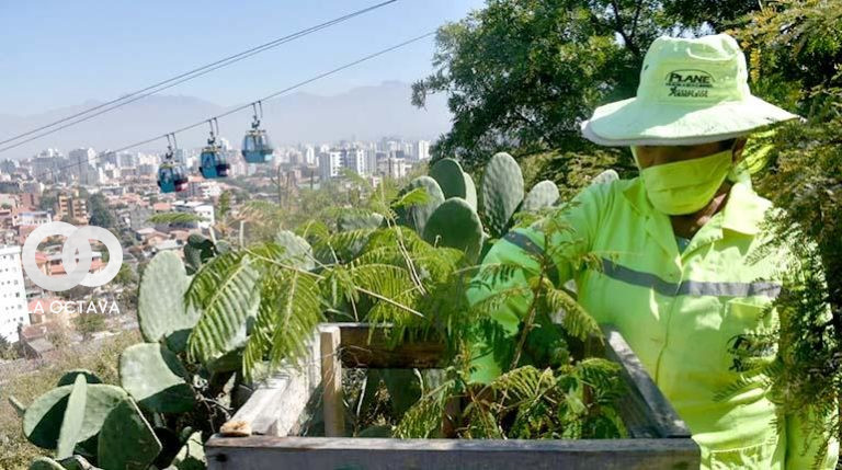 Trabajadoras del Plane limpian el camino de la subida al Cristo de la Concordia