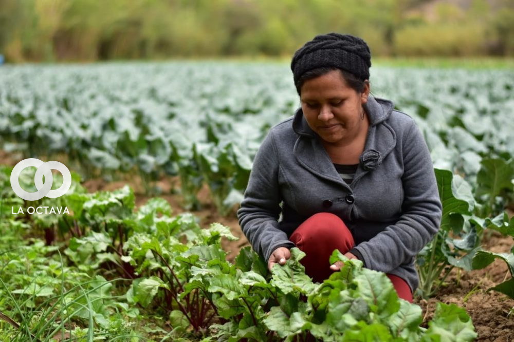 Empresa Boliviana de Producción Agropecuaria