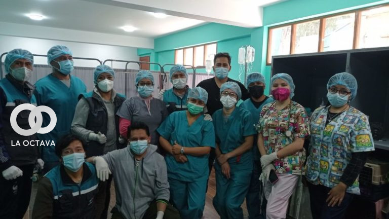 Equipo médico que opera a los perros callejeros