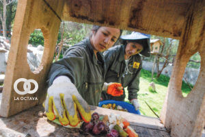 Voluntarios preparan comida para los animales del Bioparque Vesty Pakos