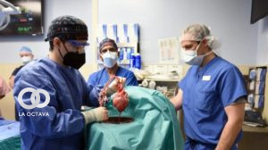 Falleció el primer paciente que recibió un corazón de cerdo