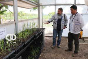 Gobierno implementa proyecto científico para apoyar al sector de caña