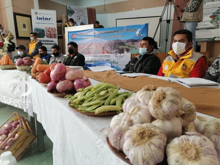 Programa "Hortalizas" beneficiara a tres municios en Potosí
