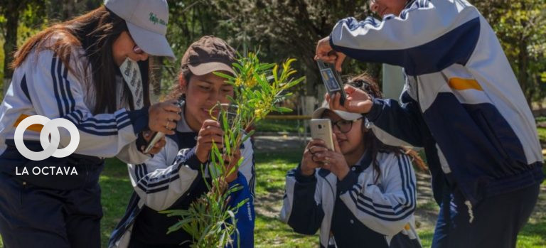 Jóvenes participando del Reto Ciudad Naturaleza