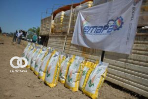 Maíz, producción de EMAPA