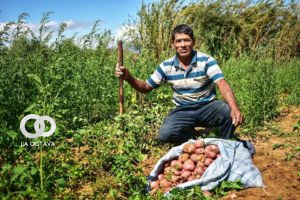 Proyectos de la Empresa Boliviana de Producción Agropecuaria