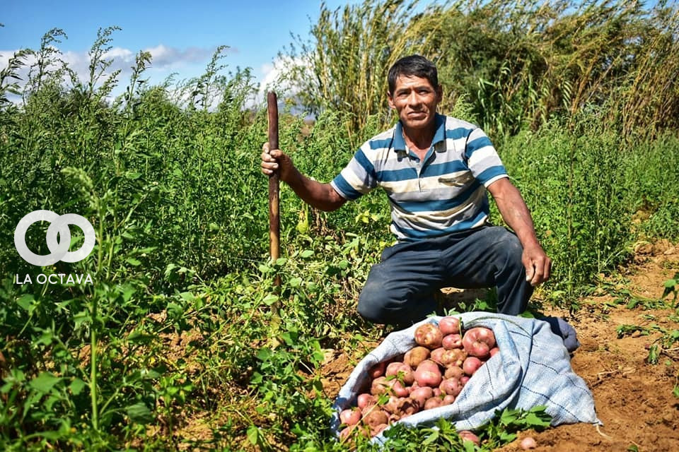 Proyectos de la Empresa Boliviana de Producción Agropecuaria