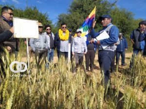 Remmy Gonzales, Ministro de Desarrollo Rural y Tierras