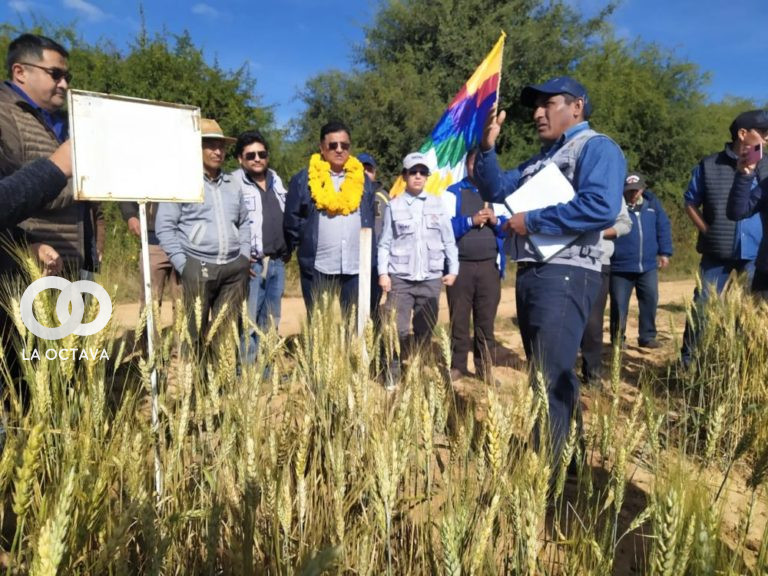Remmy Gonzales, Ministro de Desarrollo Rural y Tierras