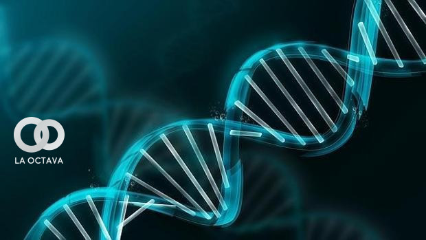 Secuencia de un genoma humano completo