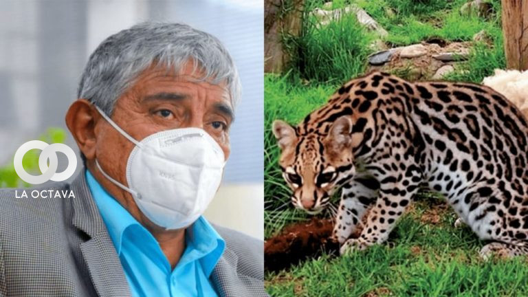 Suman acciones fiscalizadas contra el alcalde Iván Arias
