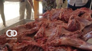 Carne de animales silvestres