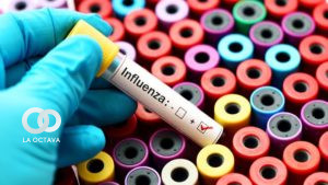 Imagen referencial de una prueba de laboratorio para influenza.