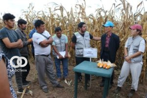 Gobierno transfiere nuevas tecnología a productores de Tarija