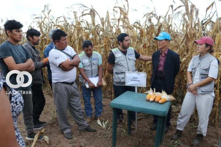 Gobierno transfiere nuevas tecnología a productores de Tarija