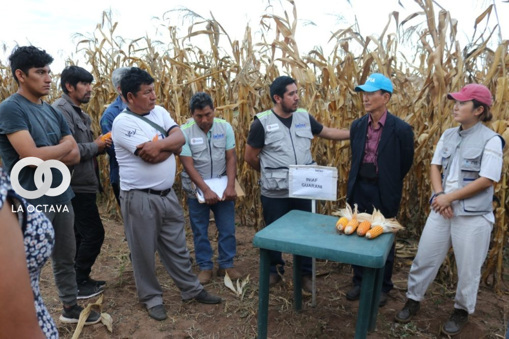 Gobierno transfiere nuevas tecnología a productores de Tarija