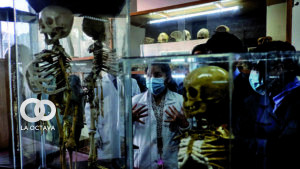 Noche de Museos; abierto al público en general
