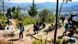 La Paz ganó el concurso "Reto Ciudad" y ahora es la primera Ciudad Biodiversa