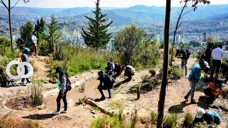 La Paz ganó el concurso "Reto Ciudad" y ahora es la primera Ciudad Biodiversa