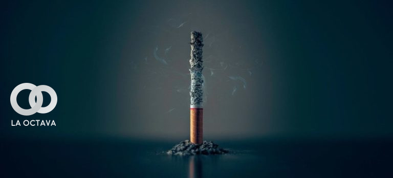 Industria del tabaco daña el medio ambiente