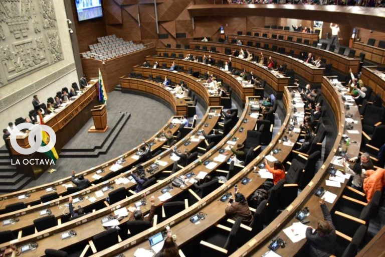 Cámara de Diputados. Foto: diputados.bo