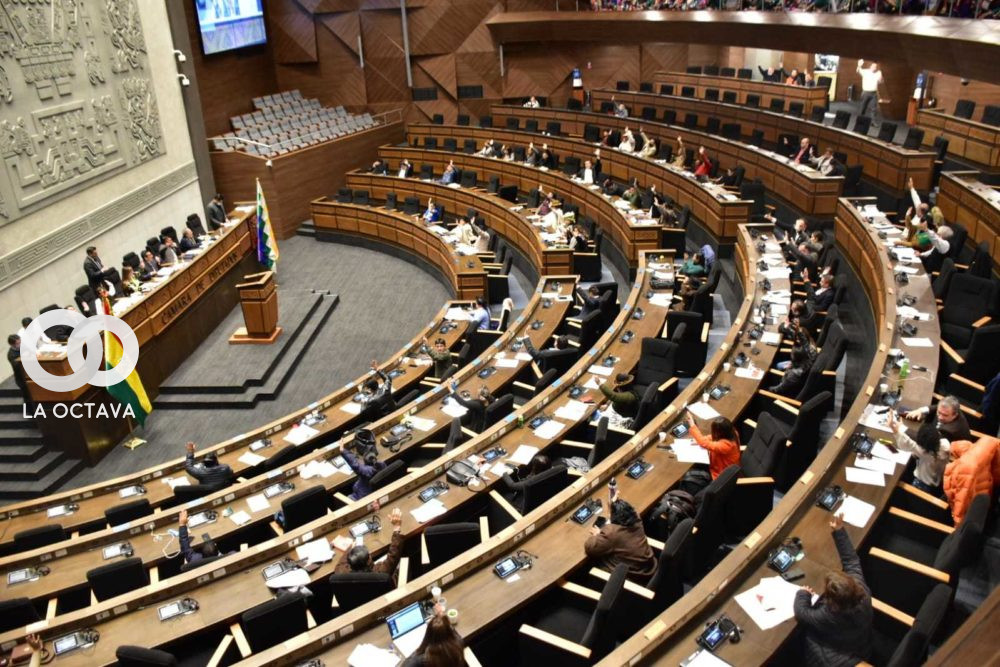 Cámara de Diputados. Foto: diputados.bo