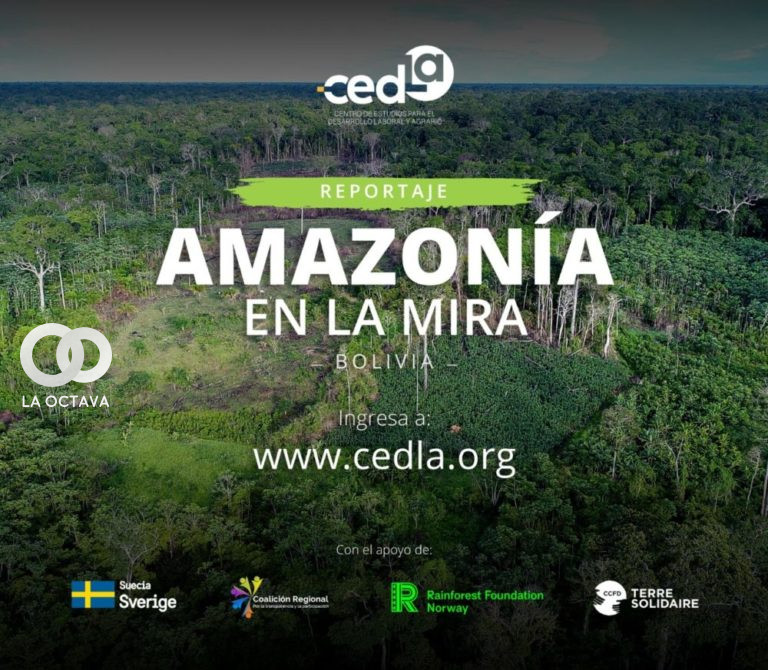 El nuevo proyecto de CEDLA