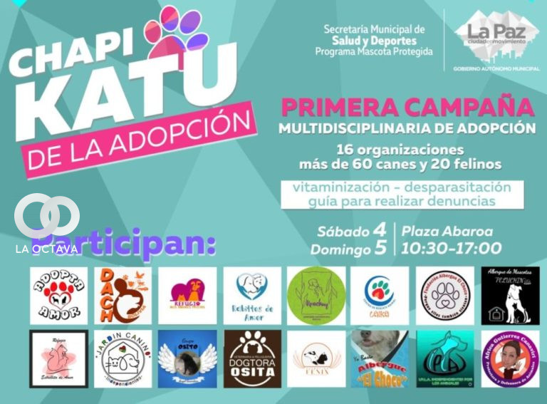 Feria de adopción de mascotas