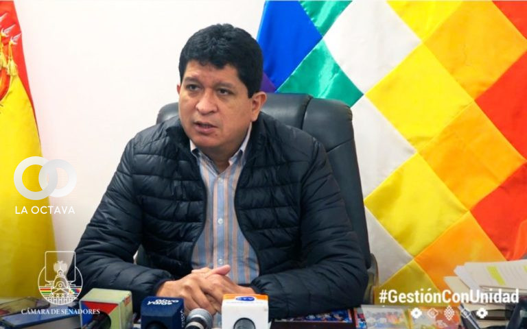 Luis Adolfo Flores, Senador del Movimiento Al Socialismo