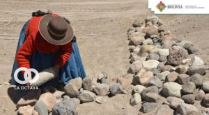 Participación de la población en el proyecto