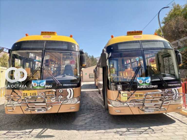 Buses Pumakatari