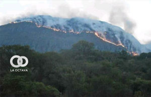 Incendios forestales en Tarija 