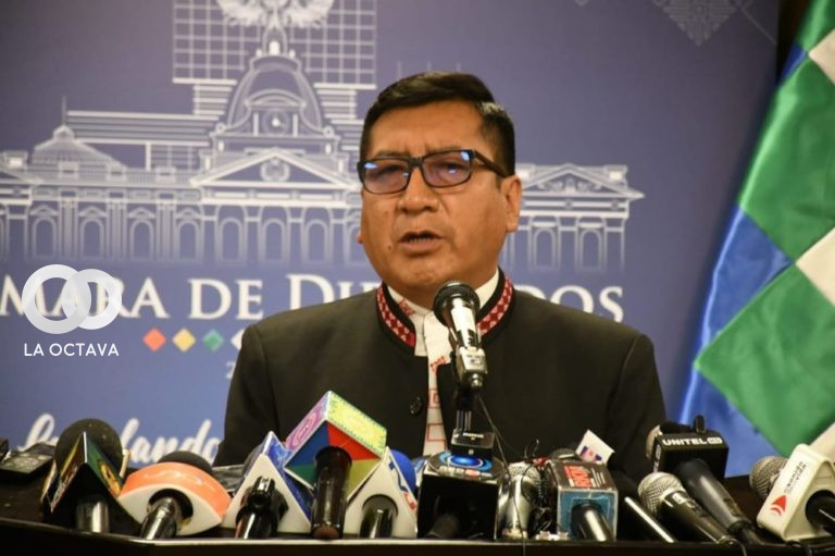 Freddy Mamani, Diputado del MAS