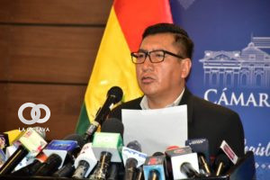 Freddy Mamani, Presidente del Senado